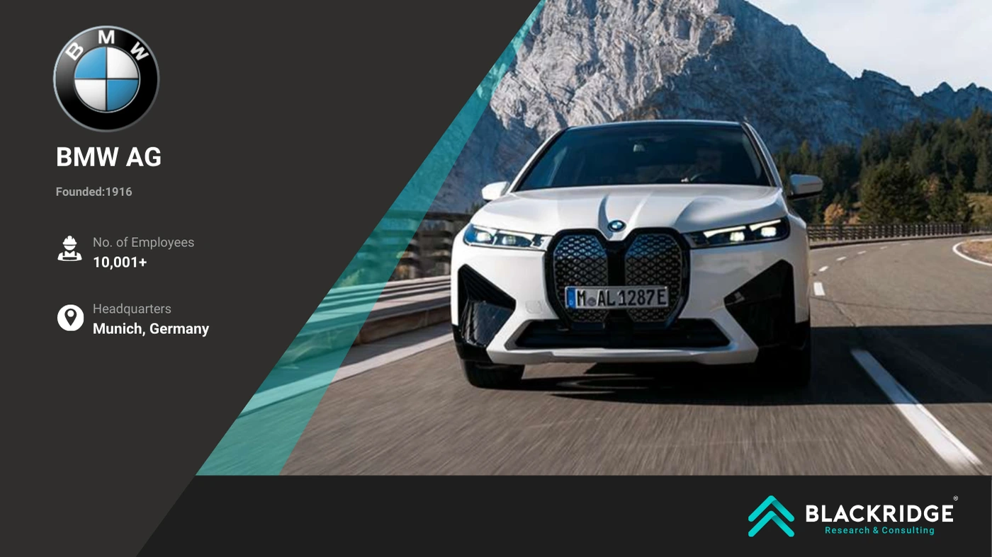 top ev car companies 2025